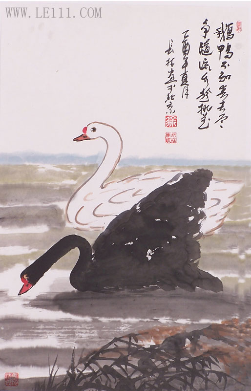 名家 徐长林 绘画 国画 花鸟画 - 徐长林的作品"天鹅"